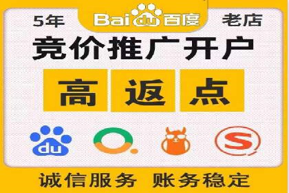 竞价SEM托管服务：成功案例揭秘